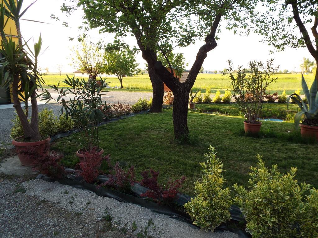 B&B Il Portico Praticello di Gattatico Buitenkant foto